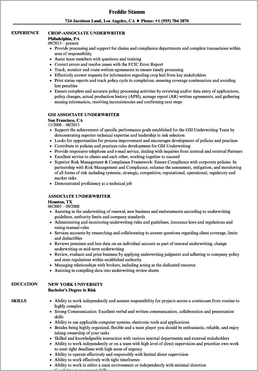 mortgage-loan-underwriter-sample-resume-resume-example-gallery