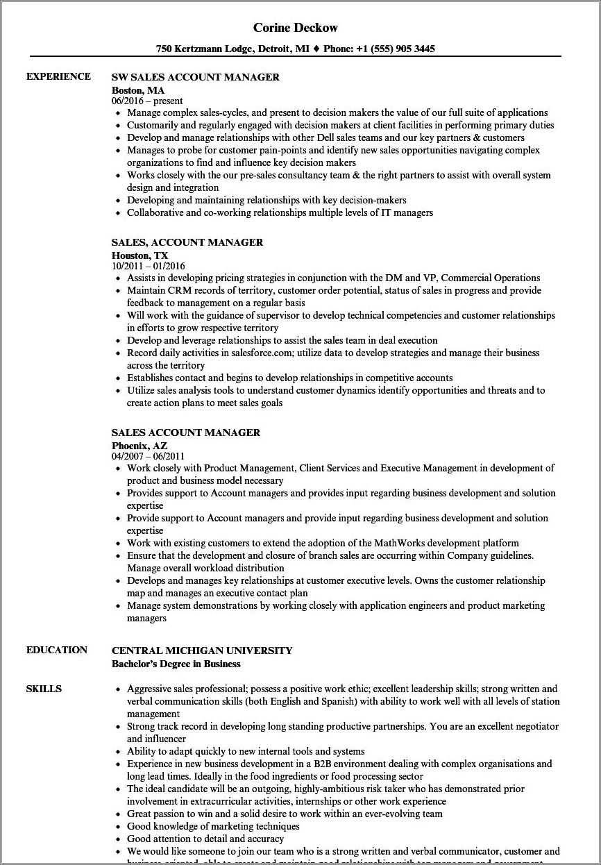 Key Account Manager Resume Templates - Resume Example Gallery