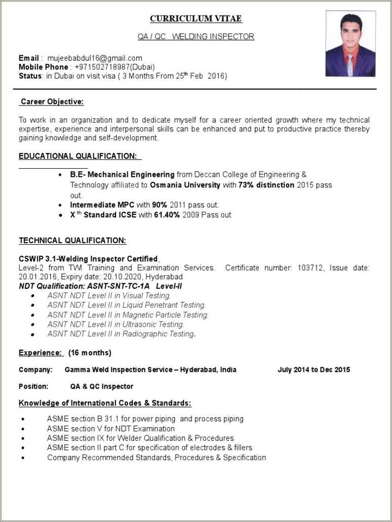 Ndt Level Ii Sample Resume - Resume Example Gallery