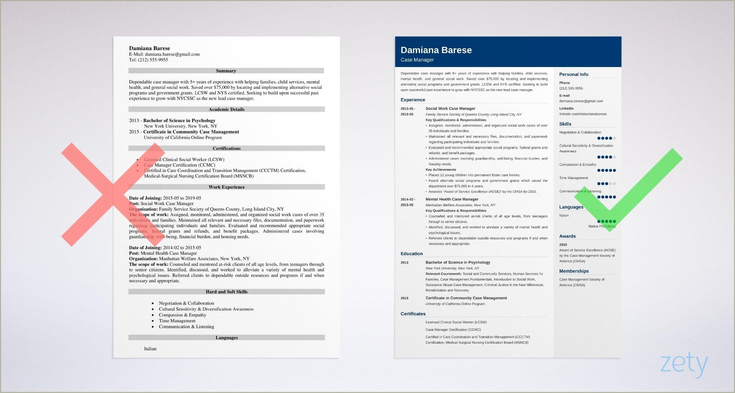 Nurse Case Manager Resume Professional Summary Resume Example Gallery