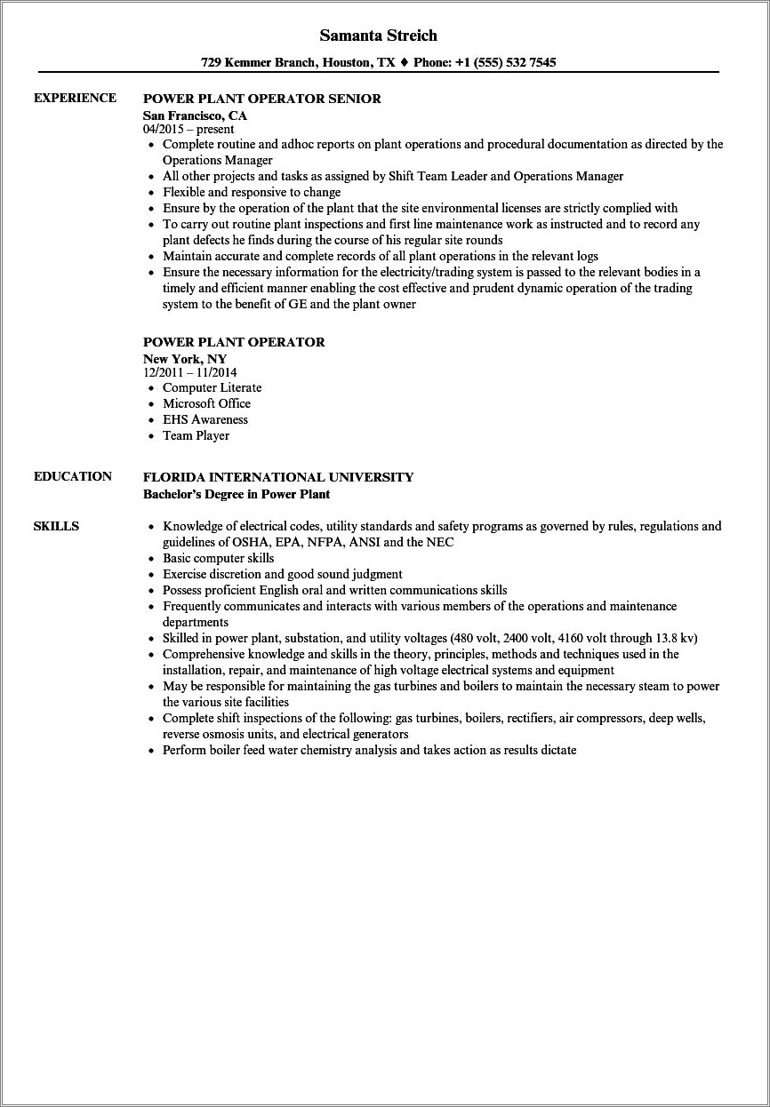 nuclear-power-plant-engineer-resume-sample-resume-example-gallery