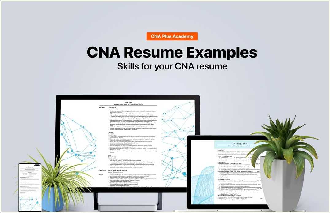 Objective Summary For Cna Resume Resume Example Gallery