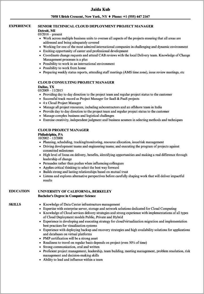 oracle-fusion-project-manager-resume-resume-example-gallery