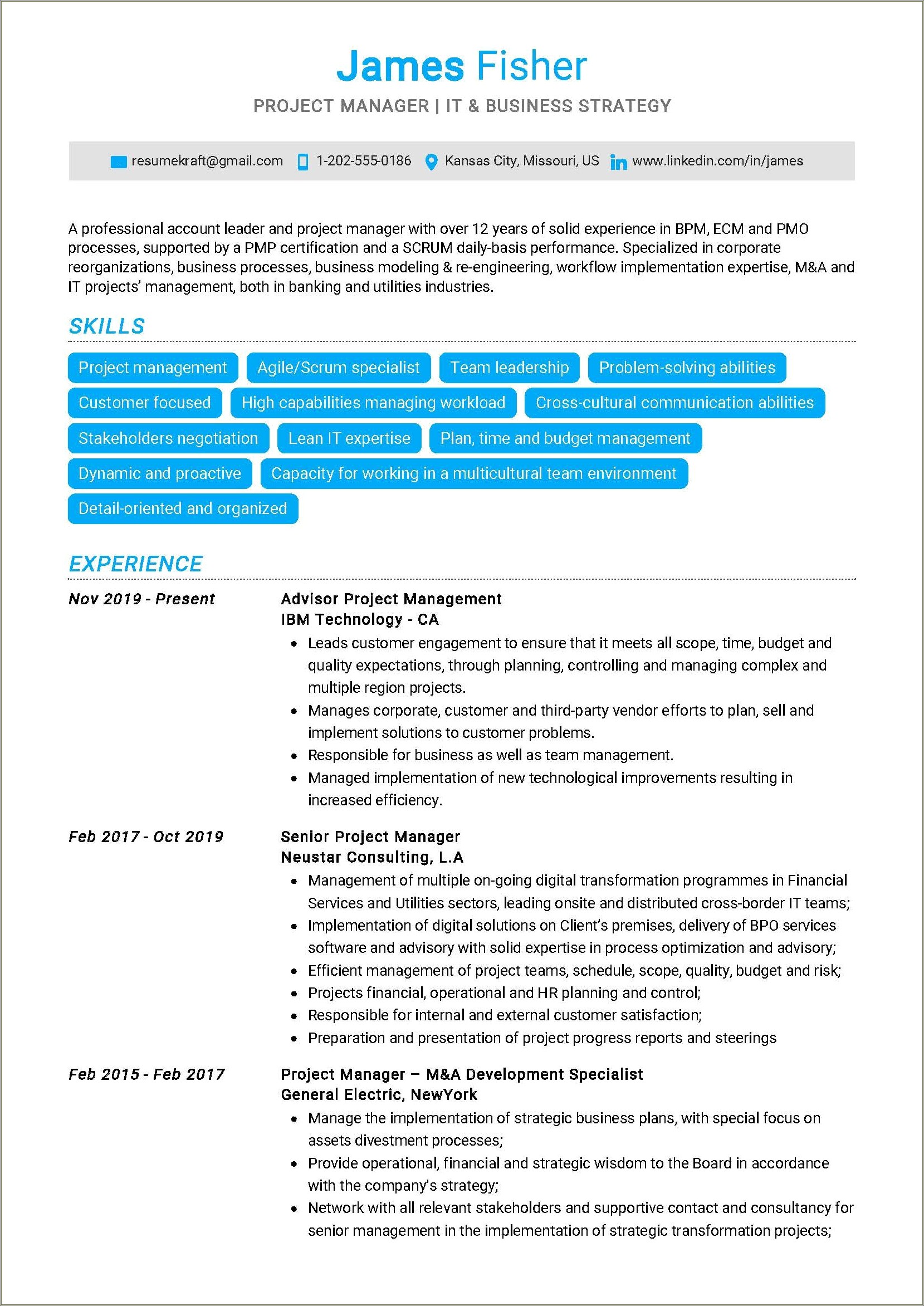 project manager resume sample doc