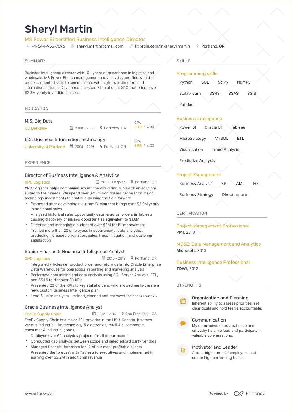 sample-resumes-on-power-bi-resume-example-gallery