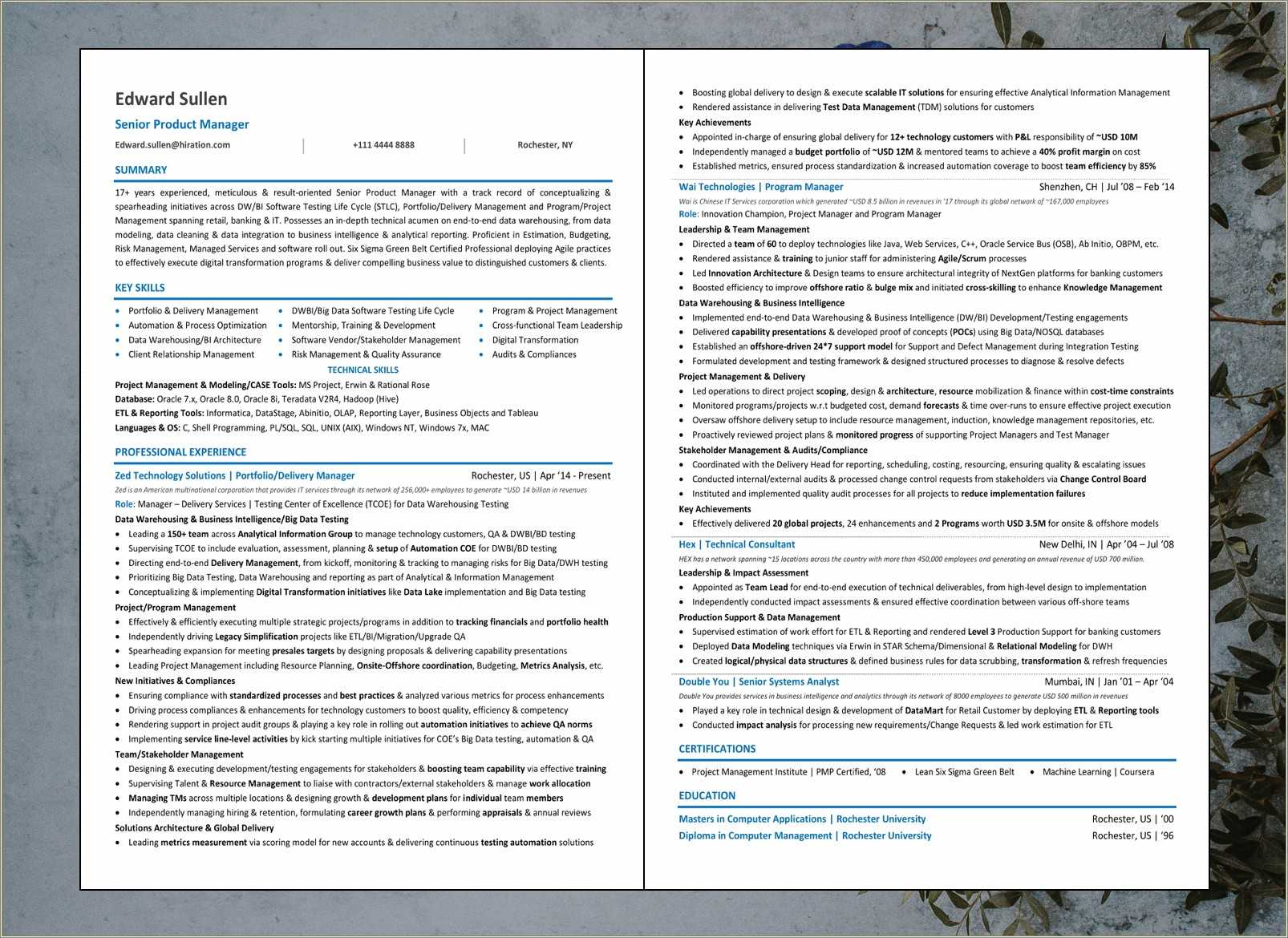 product-line-manager-resume-sample-resume-example-gallery