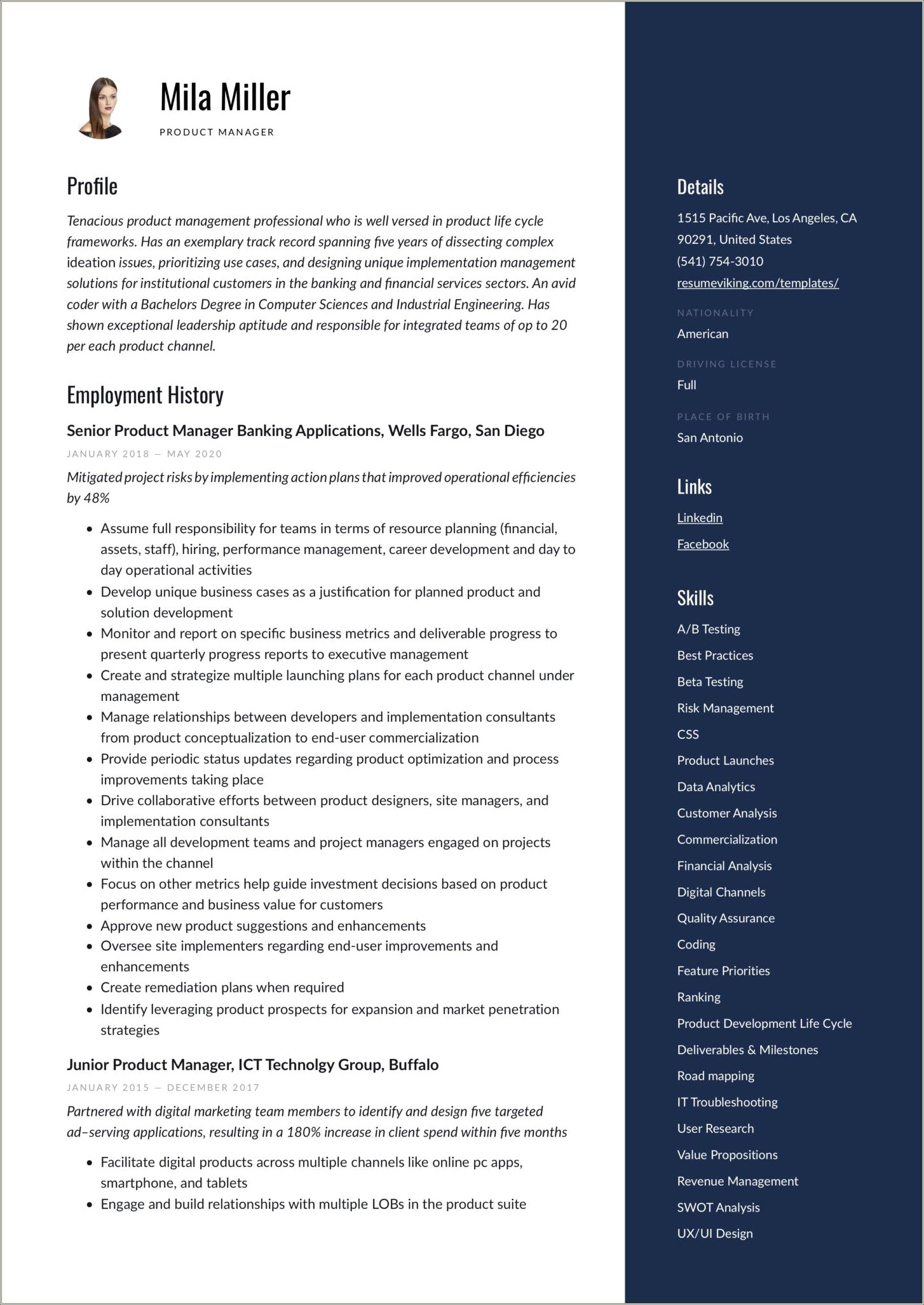 it-project-manager-resume-job-hero-resume-example-gallery