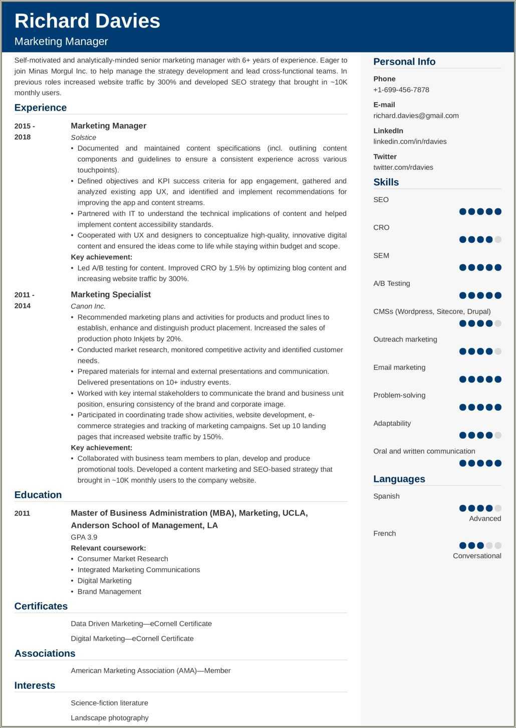 Professional Profile Resume Examples Marketing - Resume Example Gallery