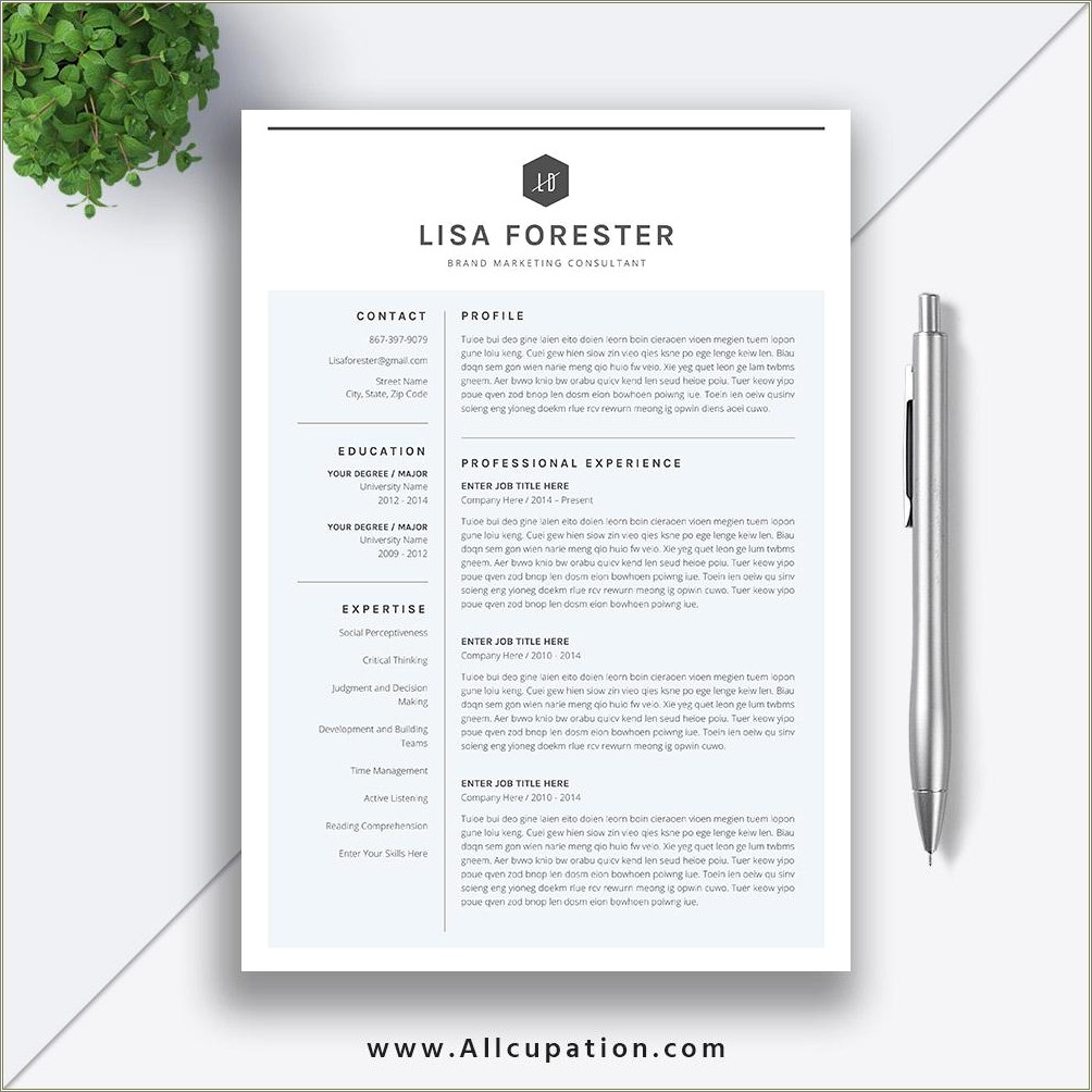 professional-resume-samples-in-word-format-resume-example-gallery