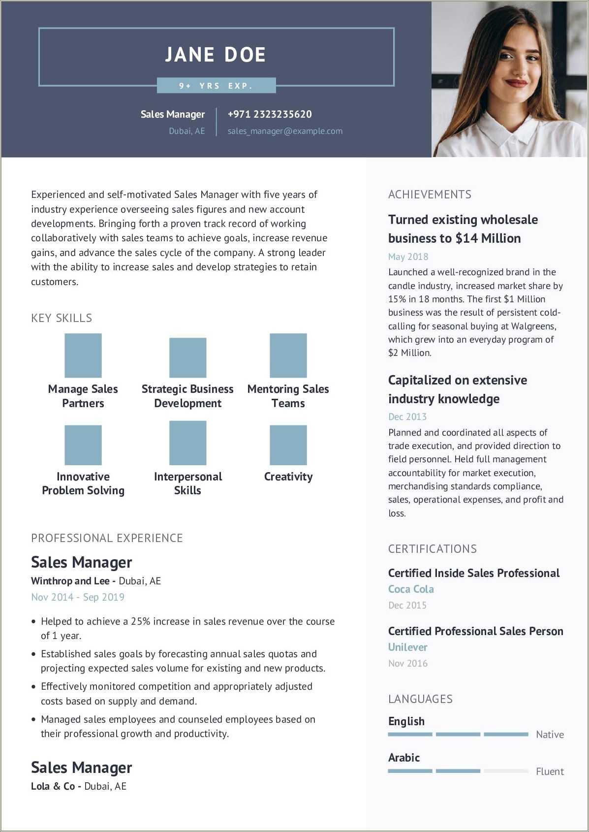 professional-sales-manager-resume-sample-resume-example-gallery