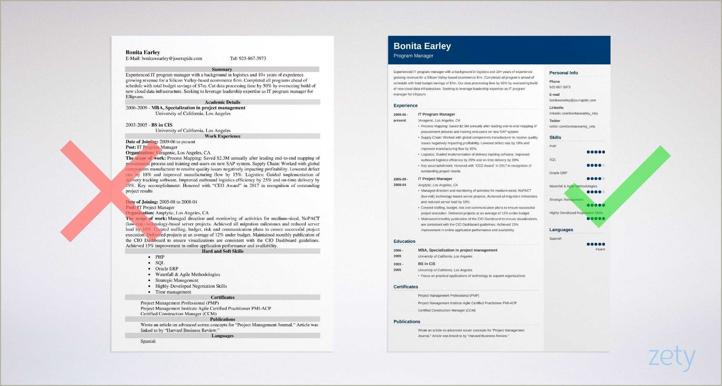 Program Manager Objective Resume Samples Resume Example Gallery