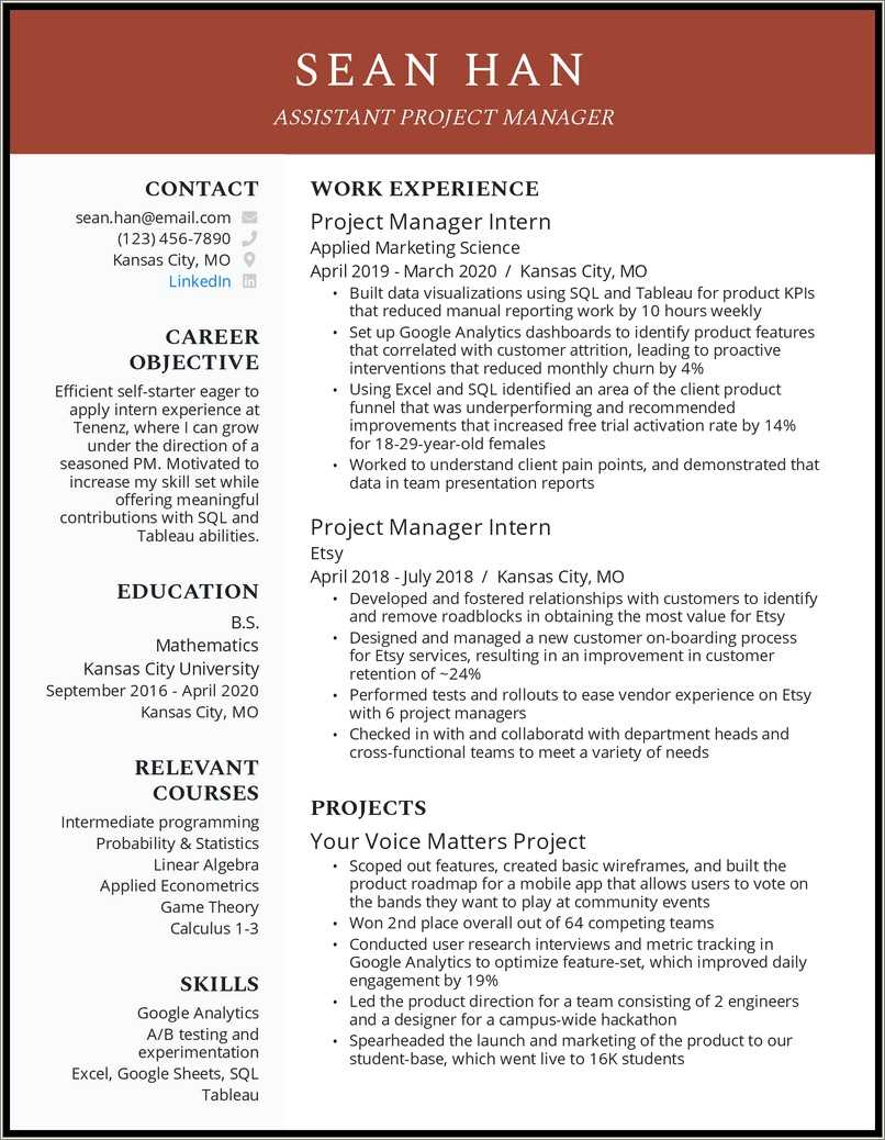 Project Management Experience Resume Sample