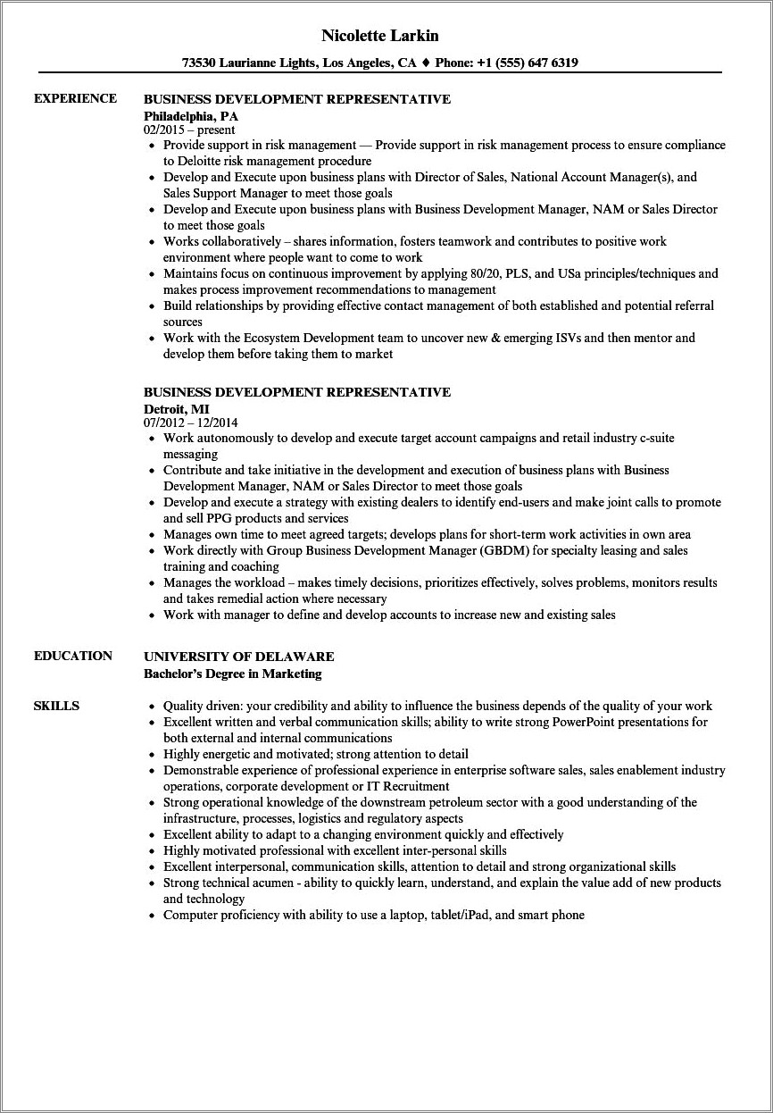 radio-sales-representative-resume-example-resume-example-gallery