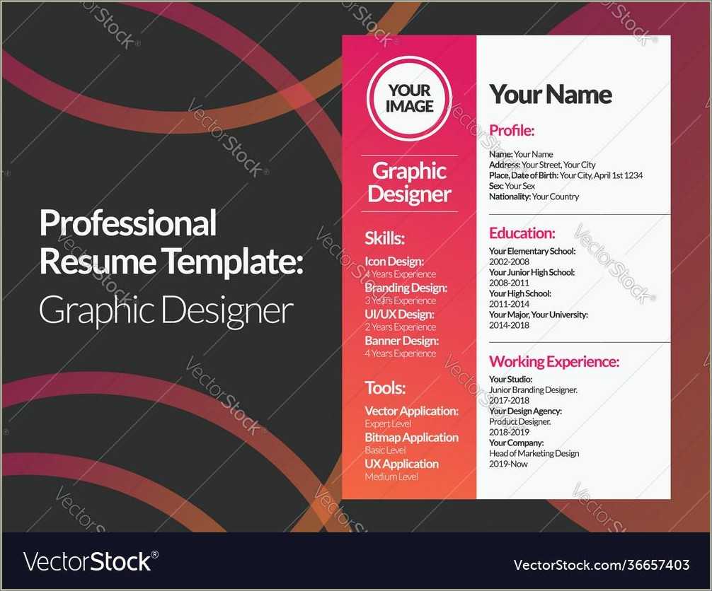 resume-bio-examples-for-graphic-designer-resume-example-gallery