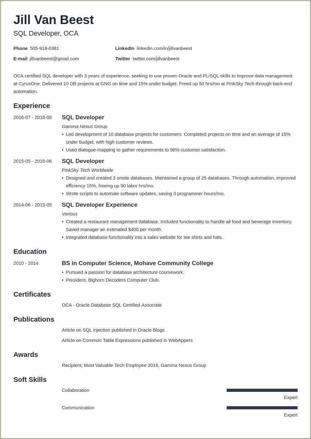 Entry Level Ios Developer Resume Examples Resume Example Gallery