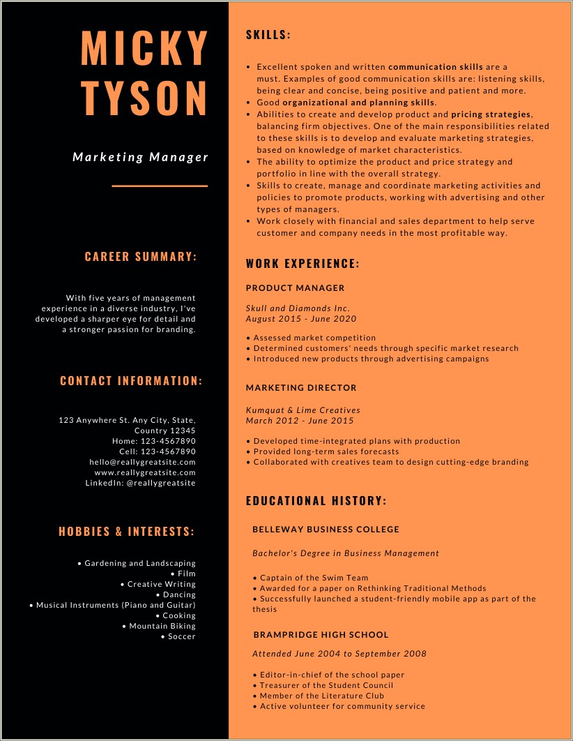 Resume Examples Long Term Employment Resume Example Gallery