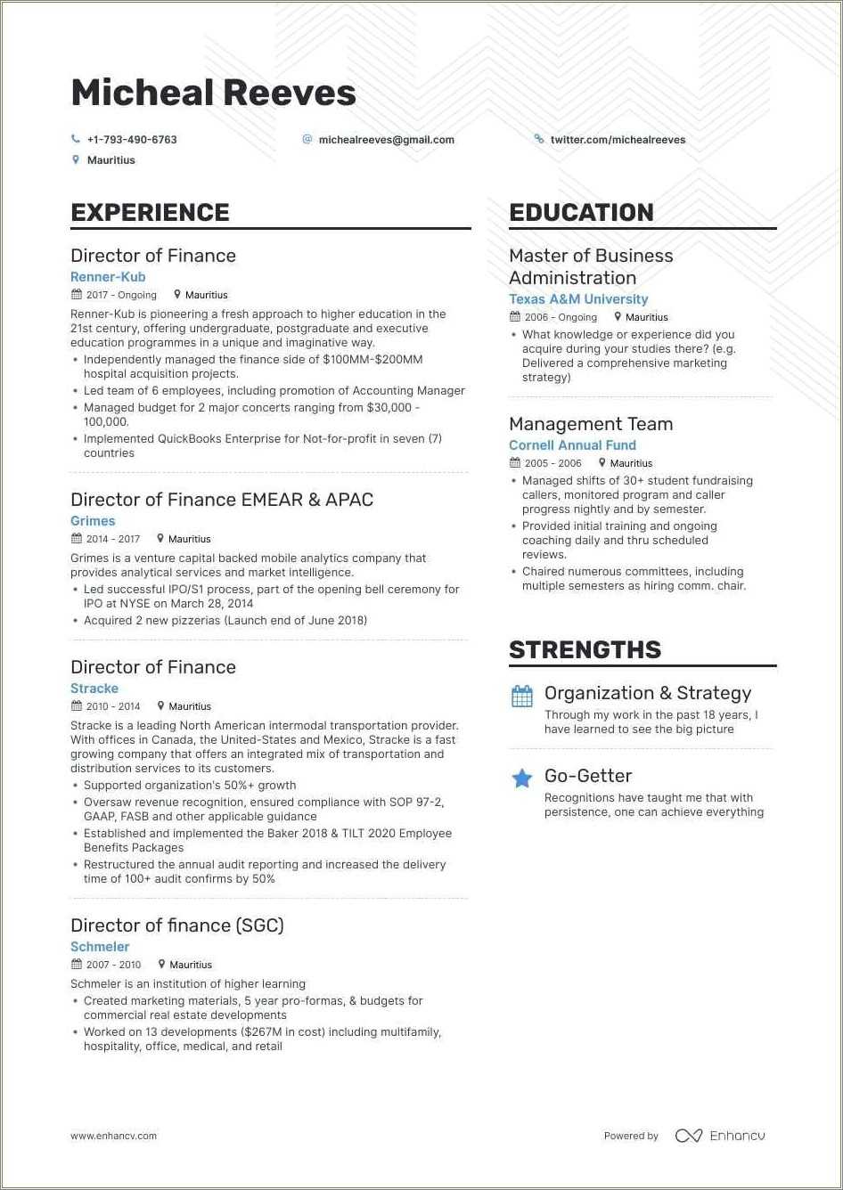 finance-manager-resume-format-in-india-resume-example-gallery