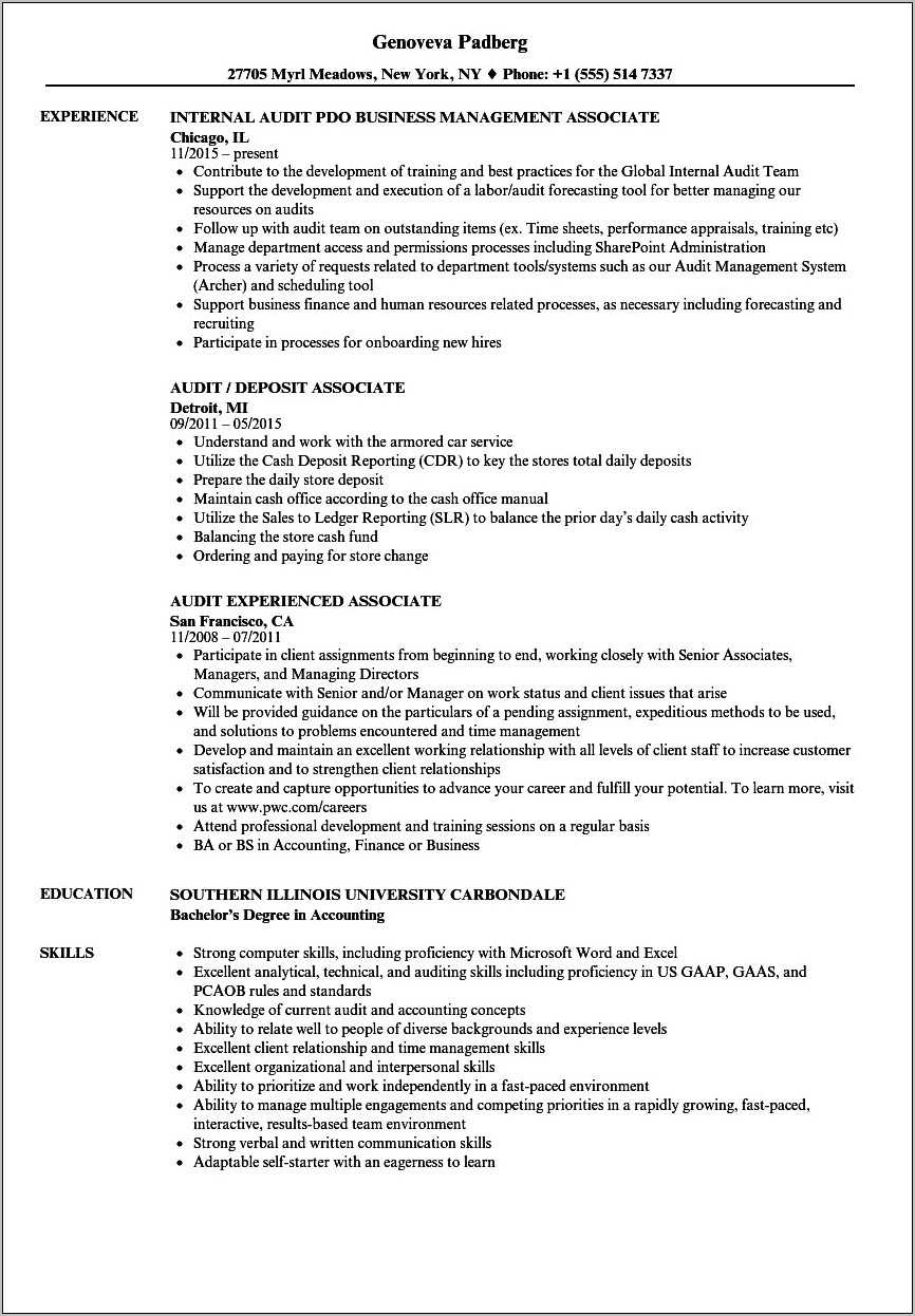 resume-objective-for-audit-assistant-resume-example-gallery