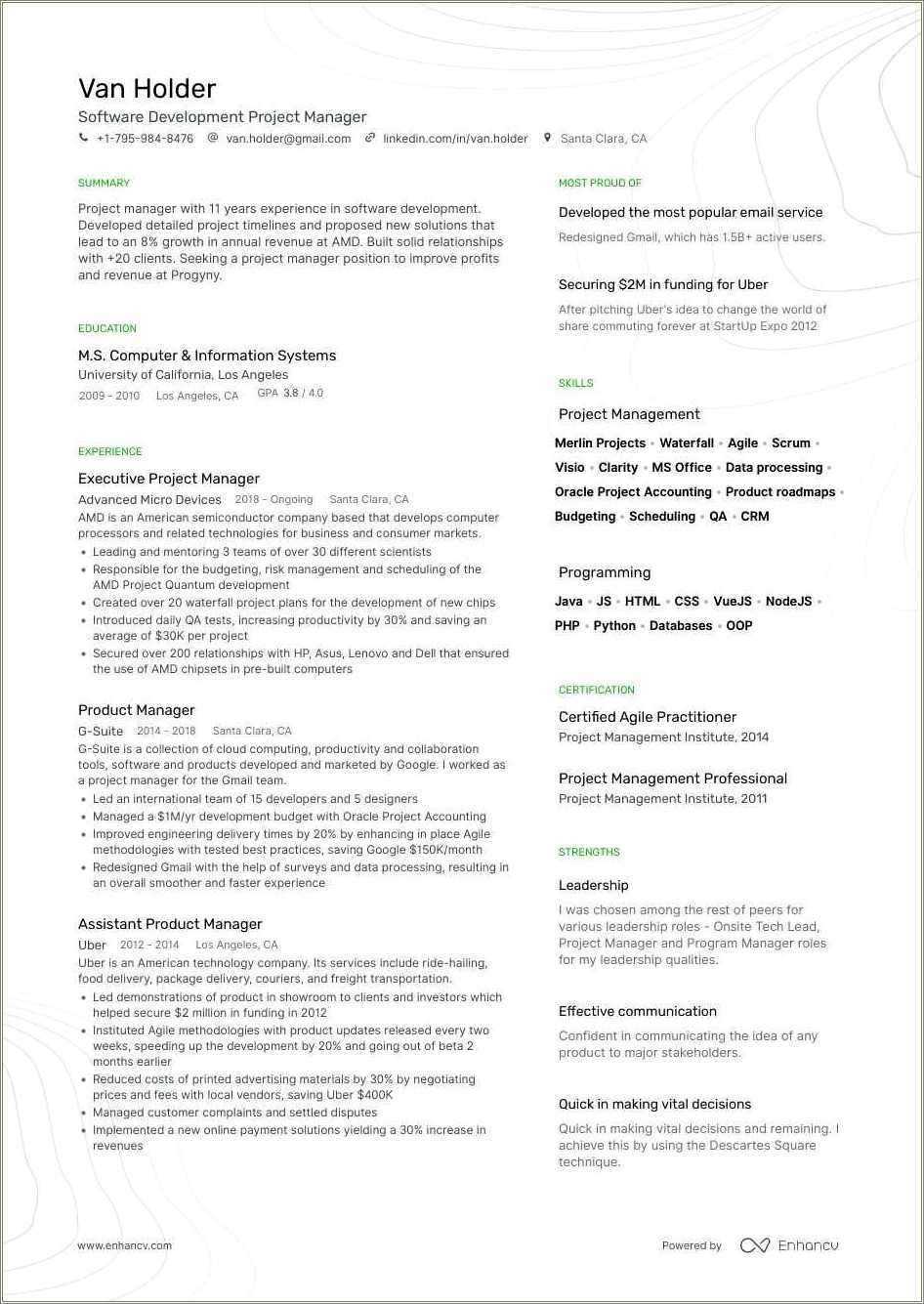 Resume Project Manager Objective Statement Resume Example Gallery