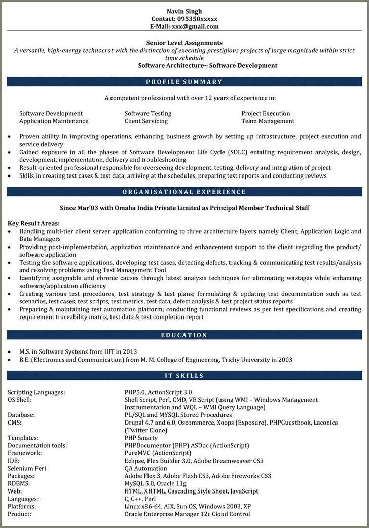 software-developer-resume-summary-examples-resume-example-gallery