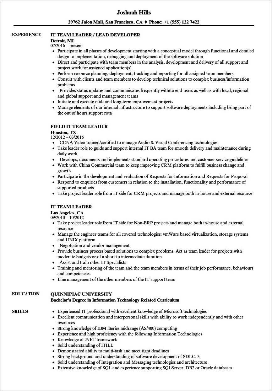 resume-summary-examples-for-leadership-resume-example-gallery