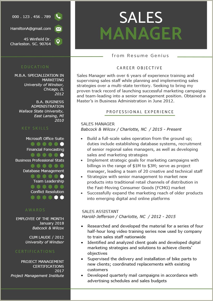 retail-executive-summary-resume-example-resume-example-gallery