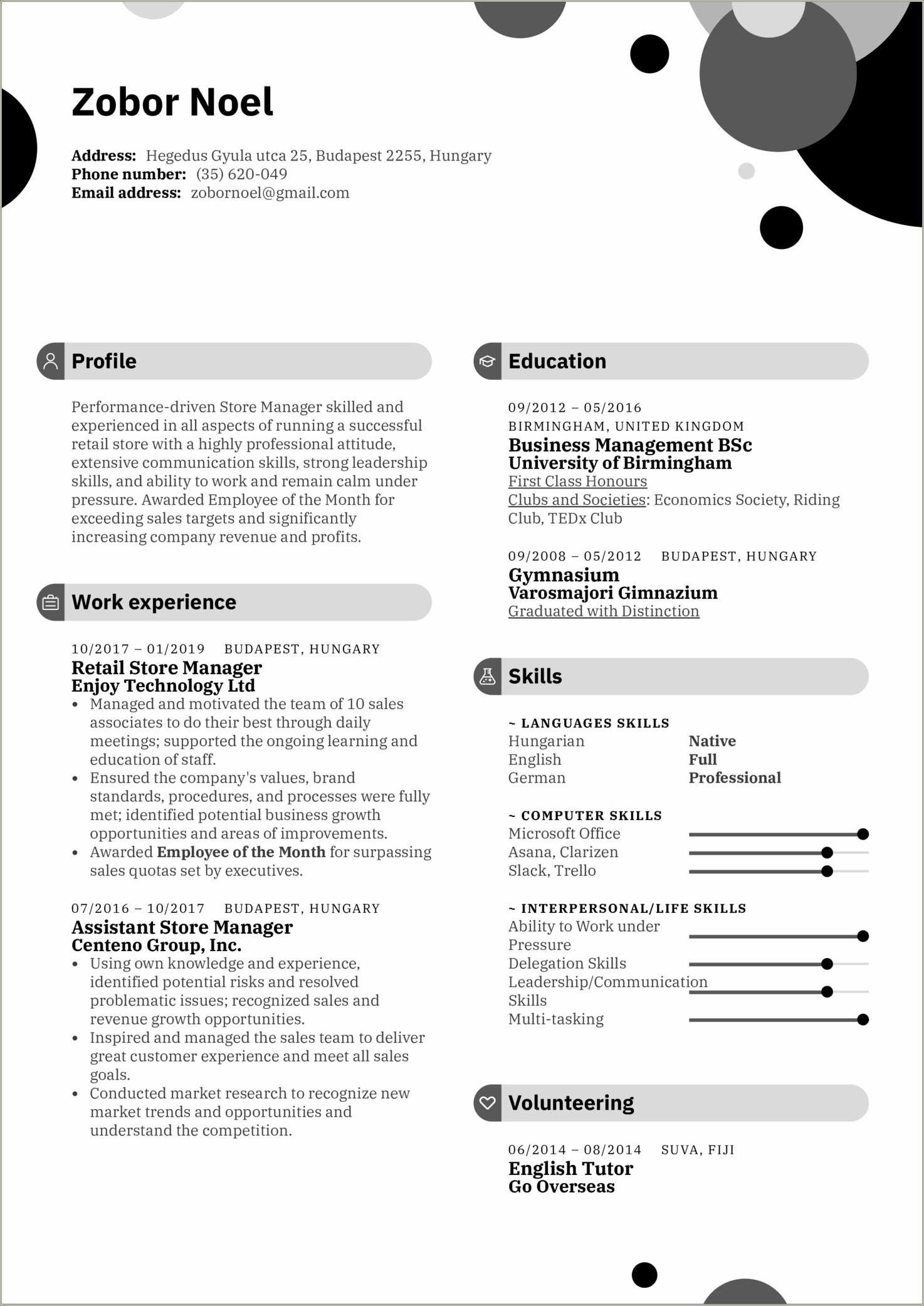 sales-manager-resume-job-summary-resume-example-gallery