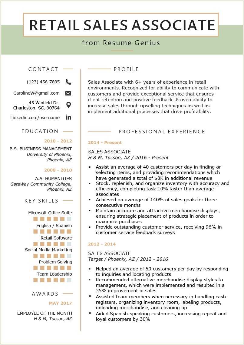 Retail Store Manager Resume Summary Resume Example Gallery