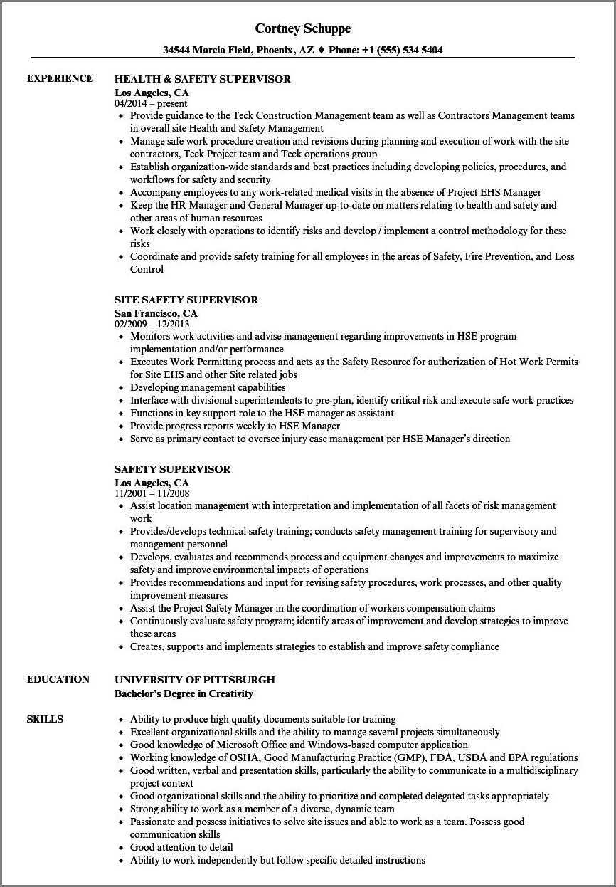 public-safety-officer-resume-example-resume-example-gallery