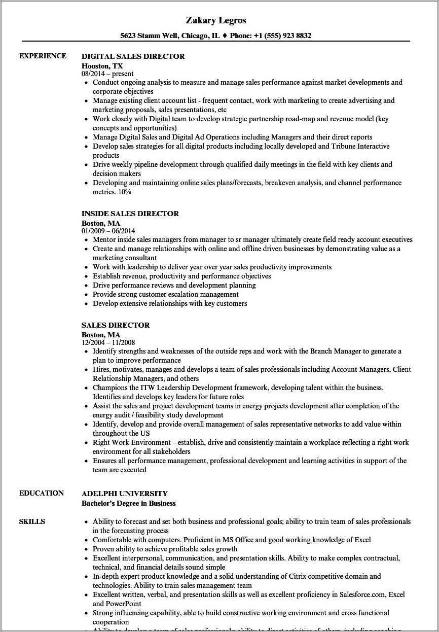 Resume Objective Examples Ecommerce Director Resume Example Gallery