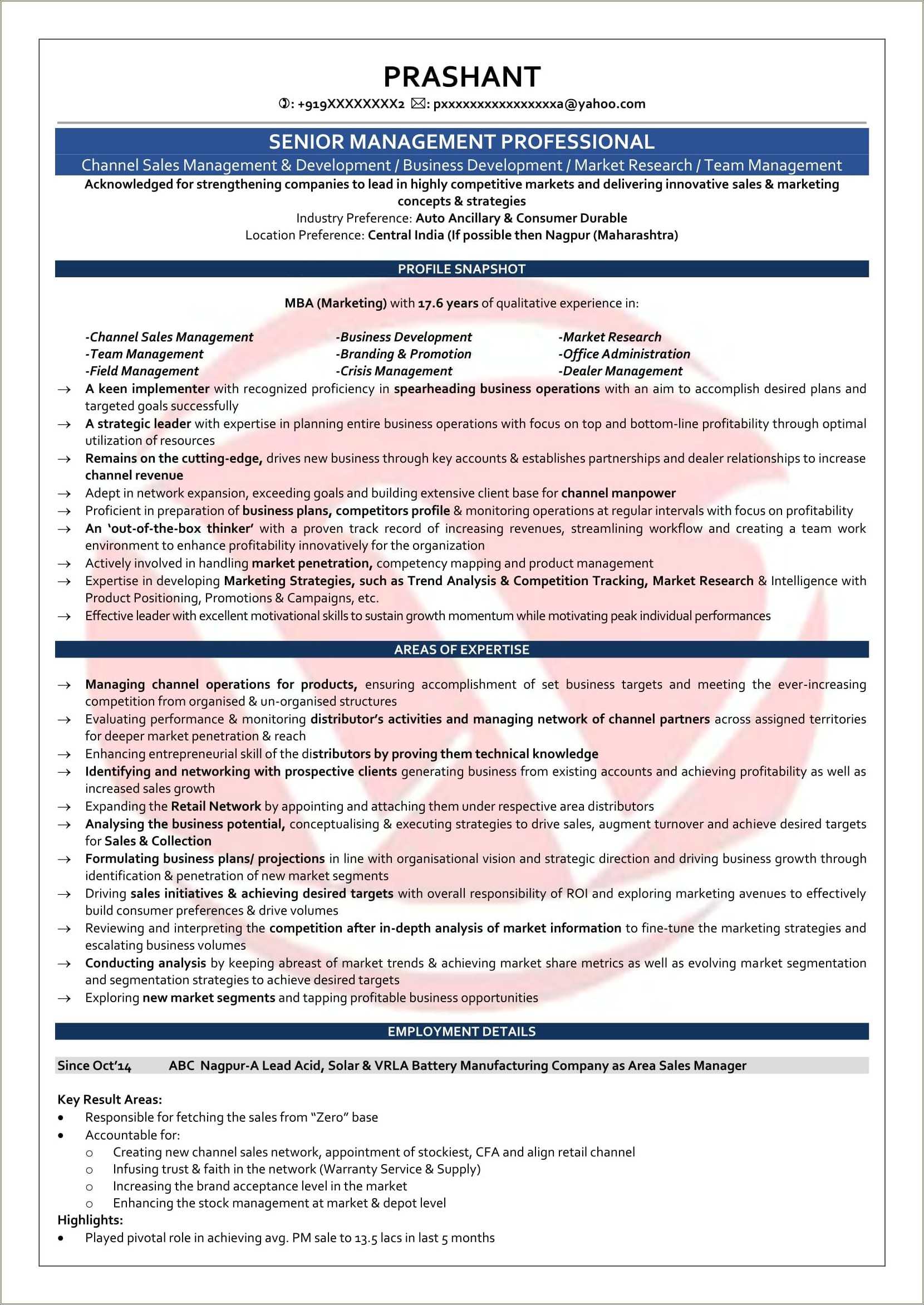 sales-executive-resume-sample-india-resume-example-gallery