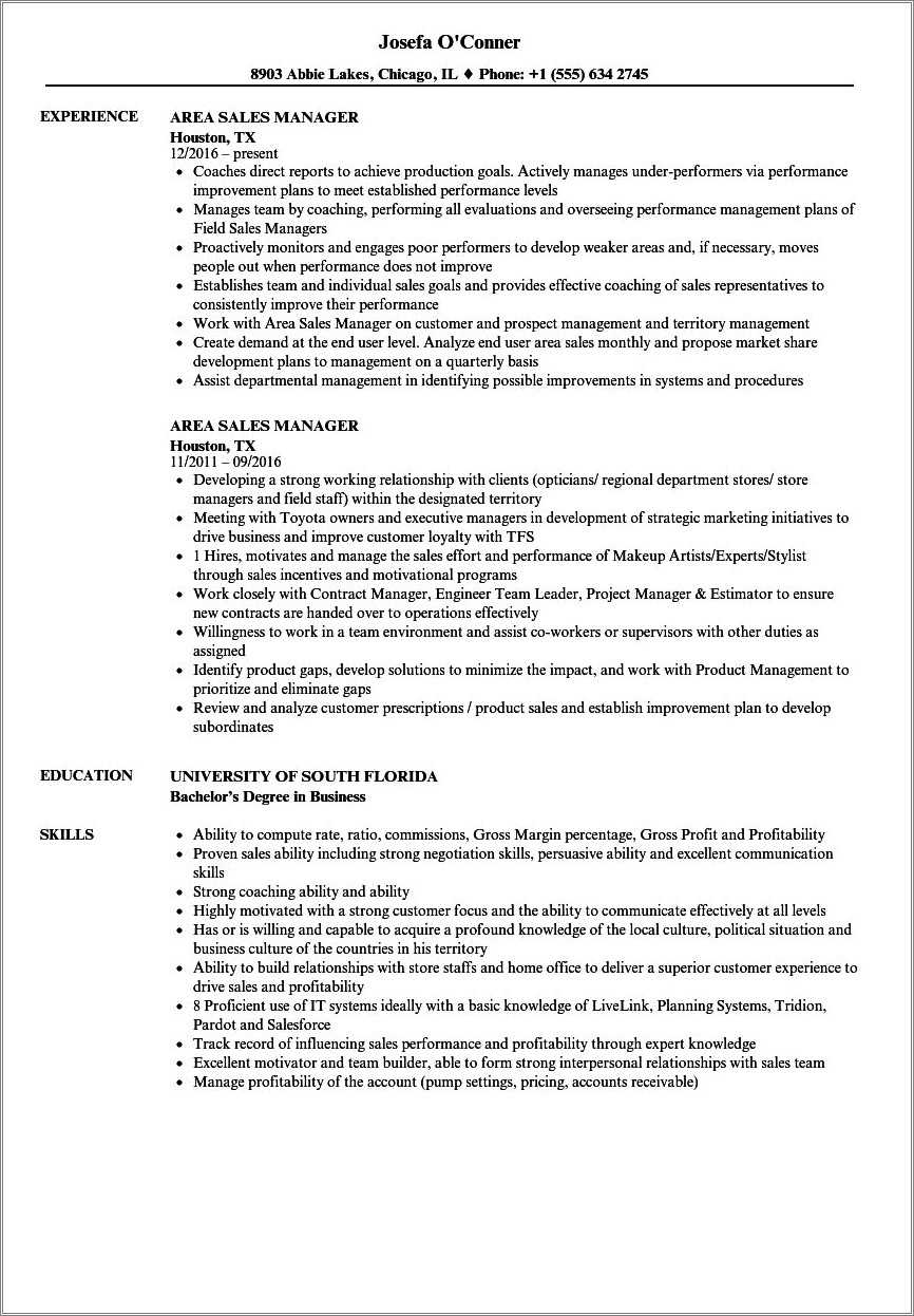 car-sales-manager-resume-example-resume-example-gallery