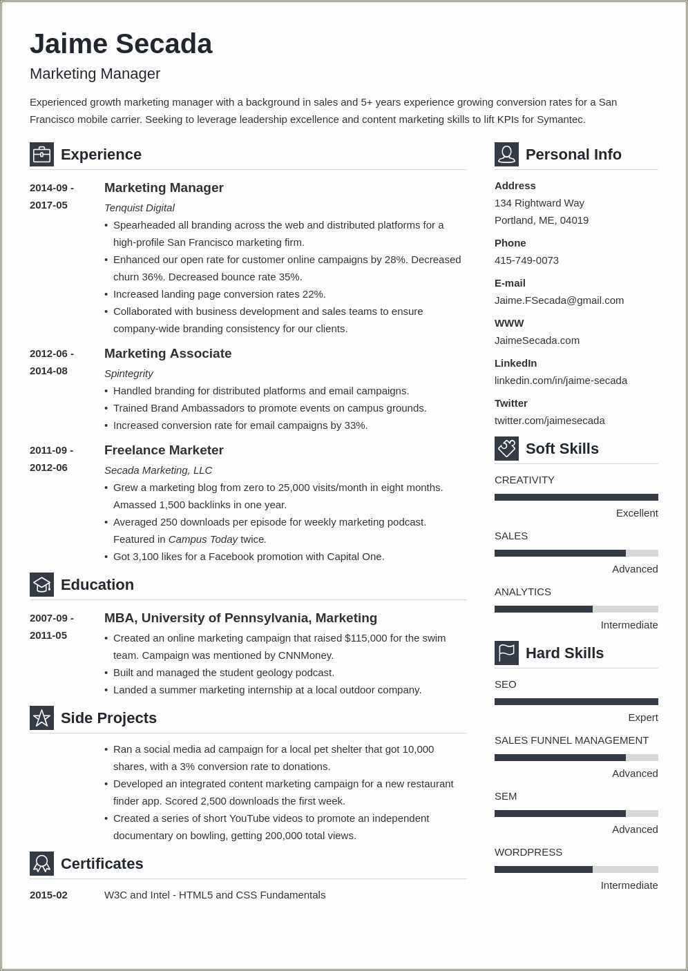 Digital Marketing Sales Manager Resume Example