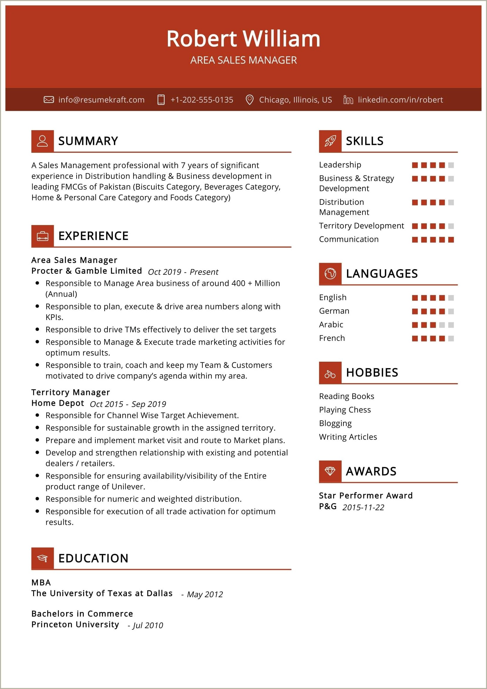 Sales Resume Career Summary Examples Resume Example Gallery