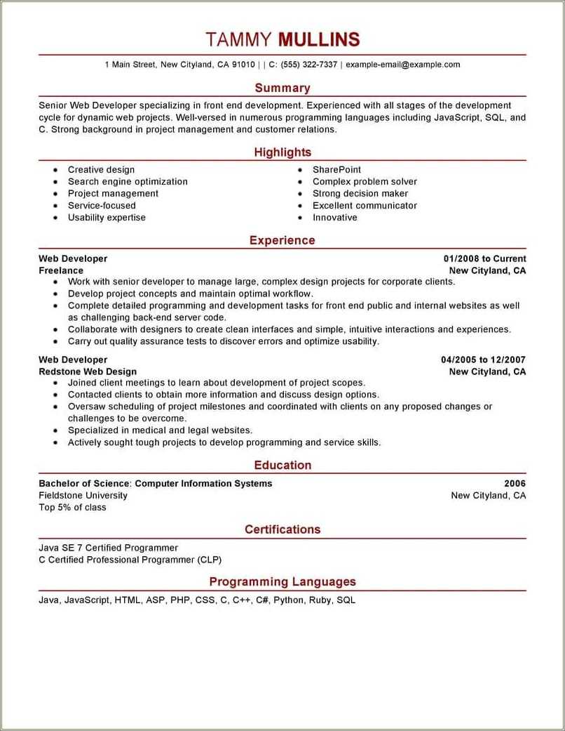 Sample Executive Resume Information Technology - Resume Example Gallery