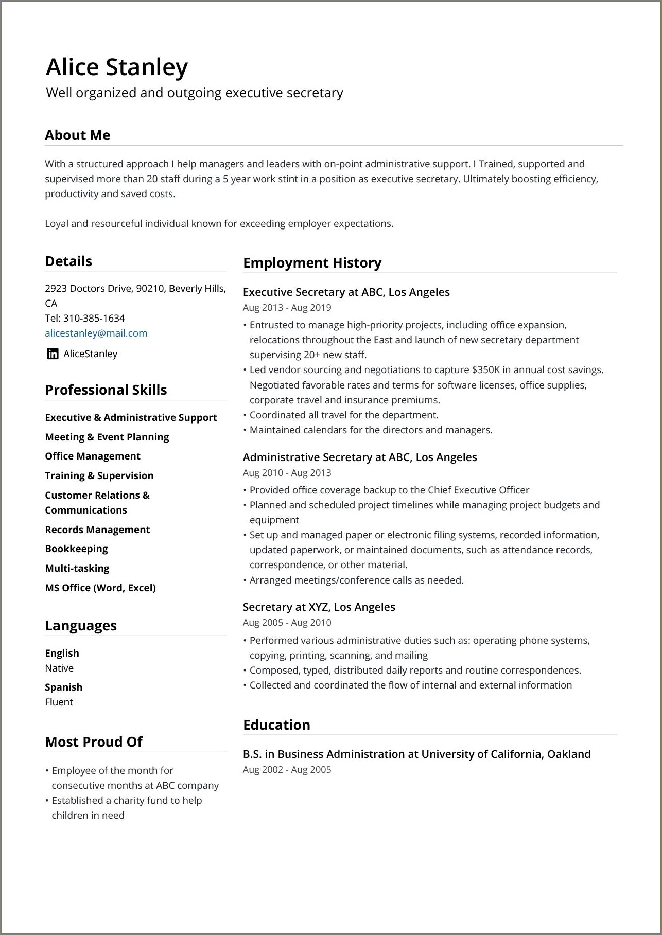 Sample Executive Summary Resume Examples Resume Example Gallery