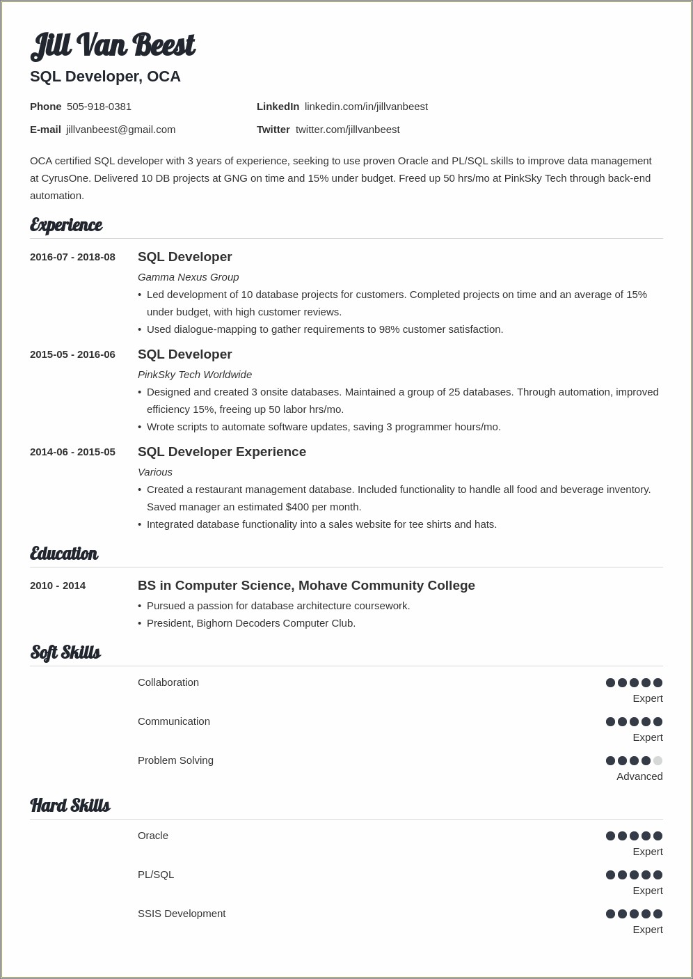 Sample Junior Ssrs Developer Resume - Resume Example Gallery