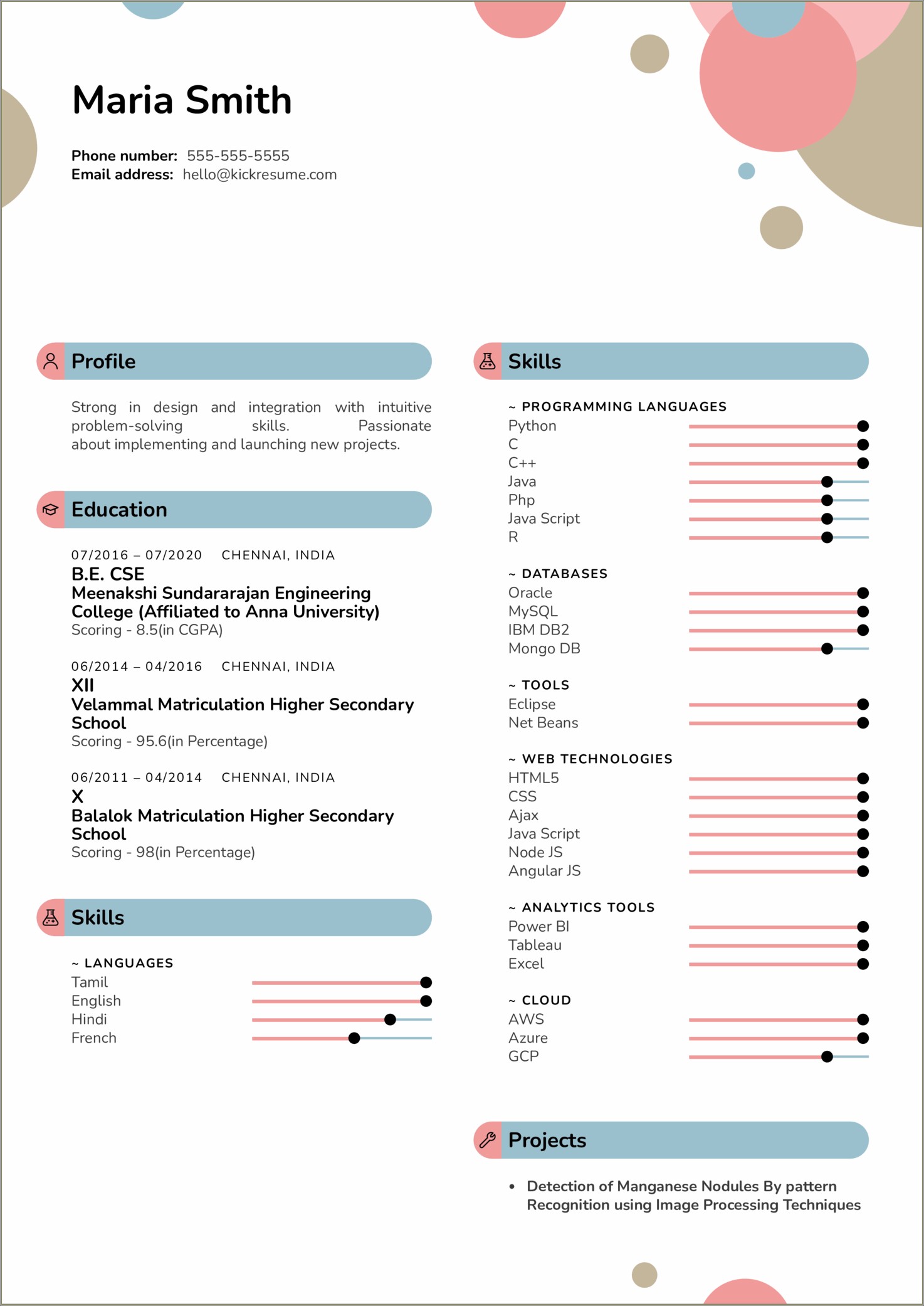 sample-resume-software-developer-india-resume-example-gallery