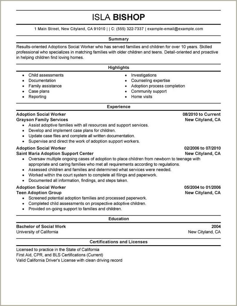 Sample Social Services Director Resume Resume Example Gallery