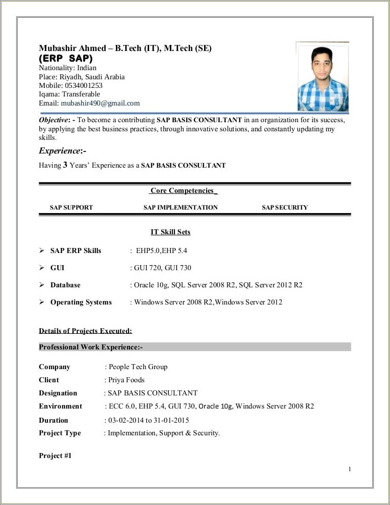 erp project manager detailed resume