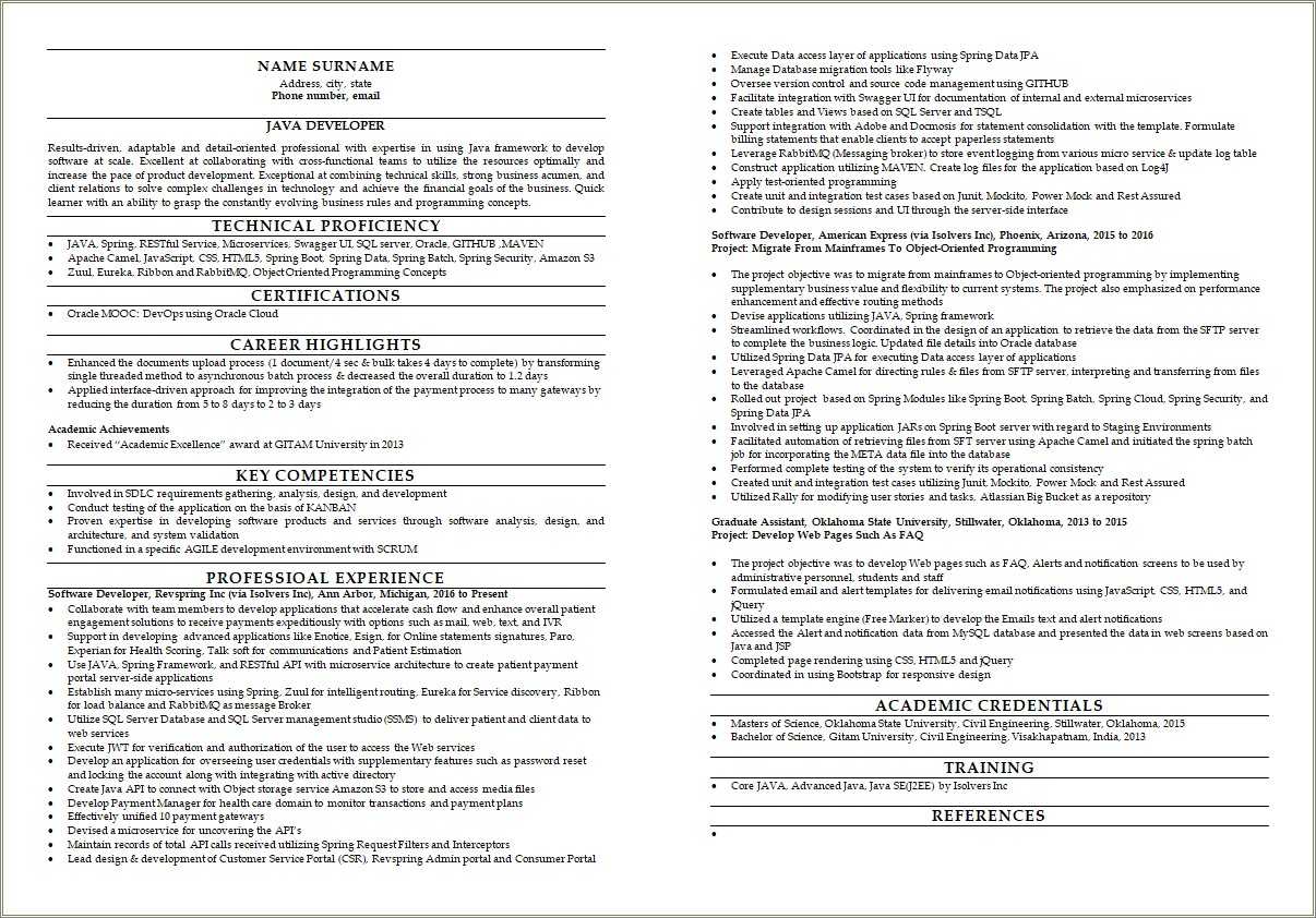 Resume Summary Examples For Software Developer