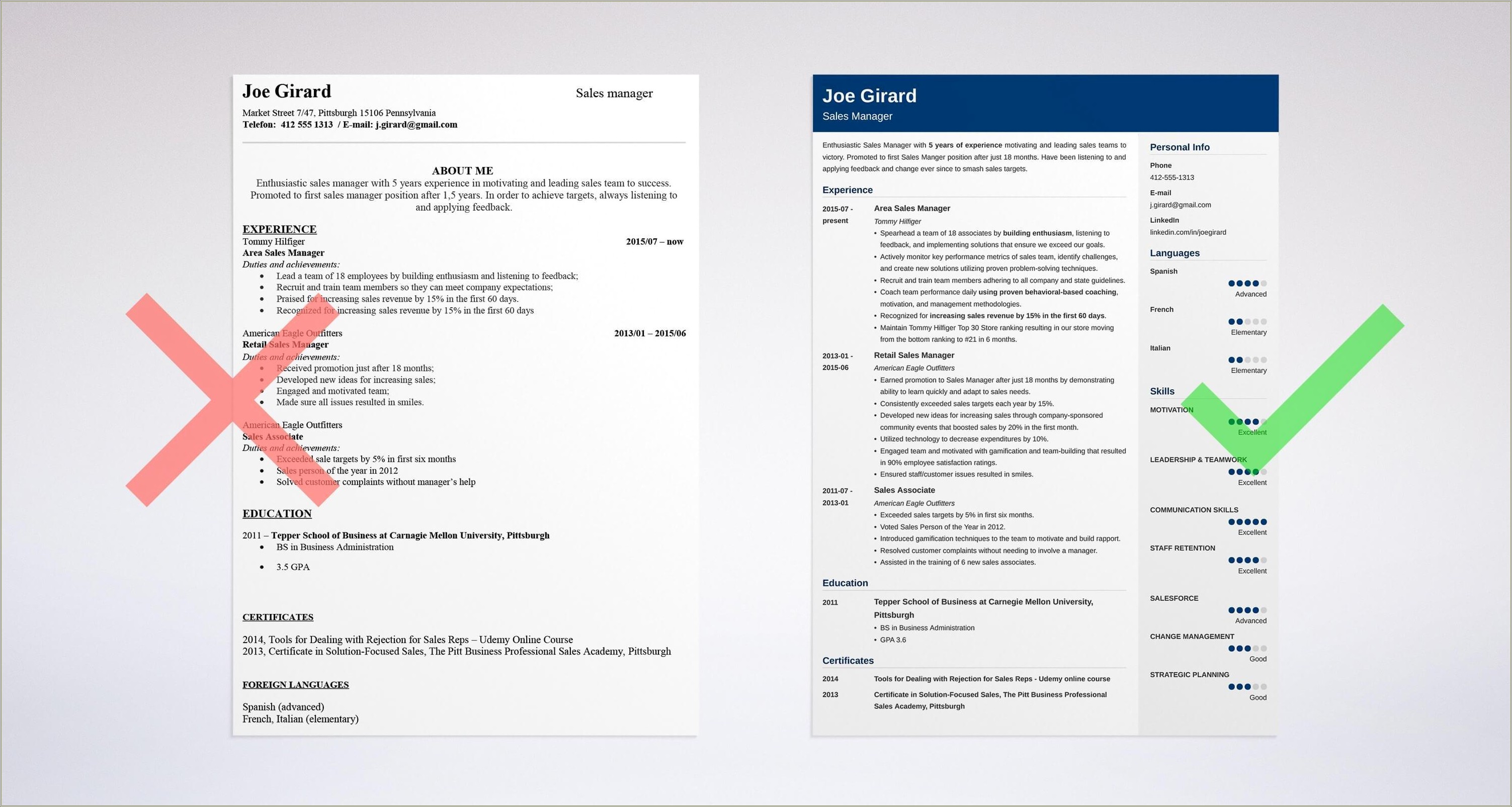 software-sales-manager-resume-examples-resume-example-gallery