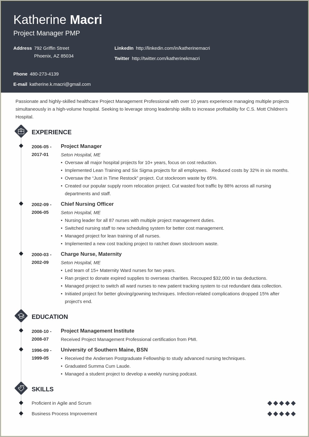 Technical Project Lead Resume Sample Resume Example Gallery