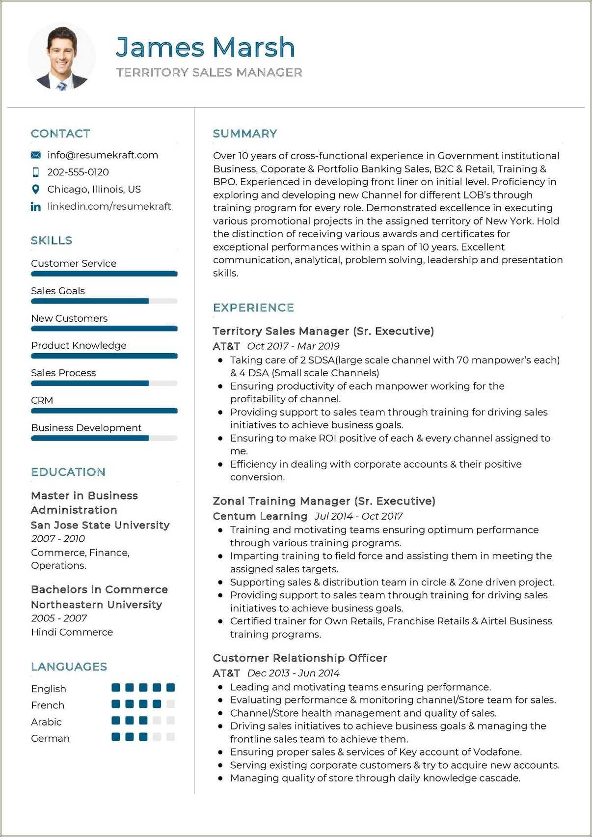 Territory Sales Manager Resume Examples - Resume Example Gallery