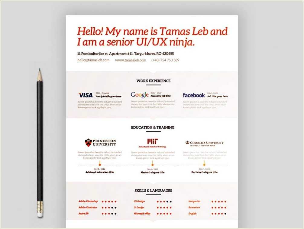 Visual Resume Templates Free Online Resume Example Gallery