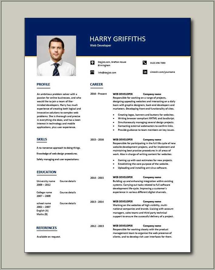 web-developer-resume-sample-india-resume-example-gallery