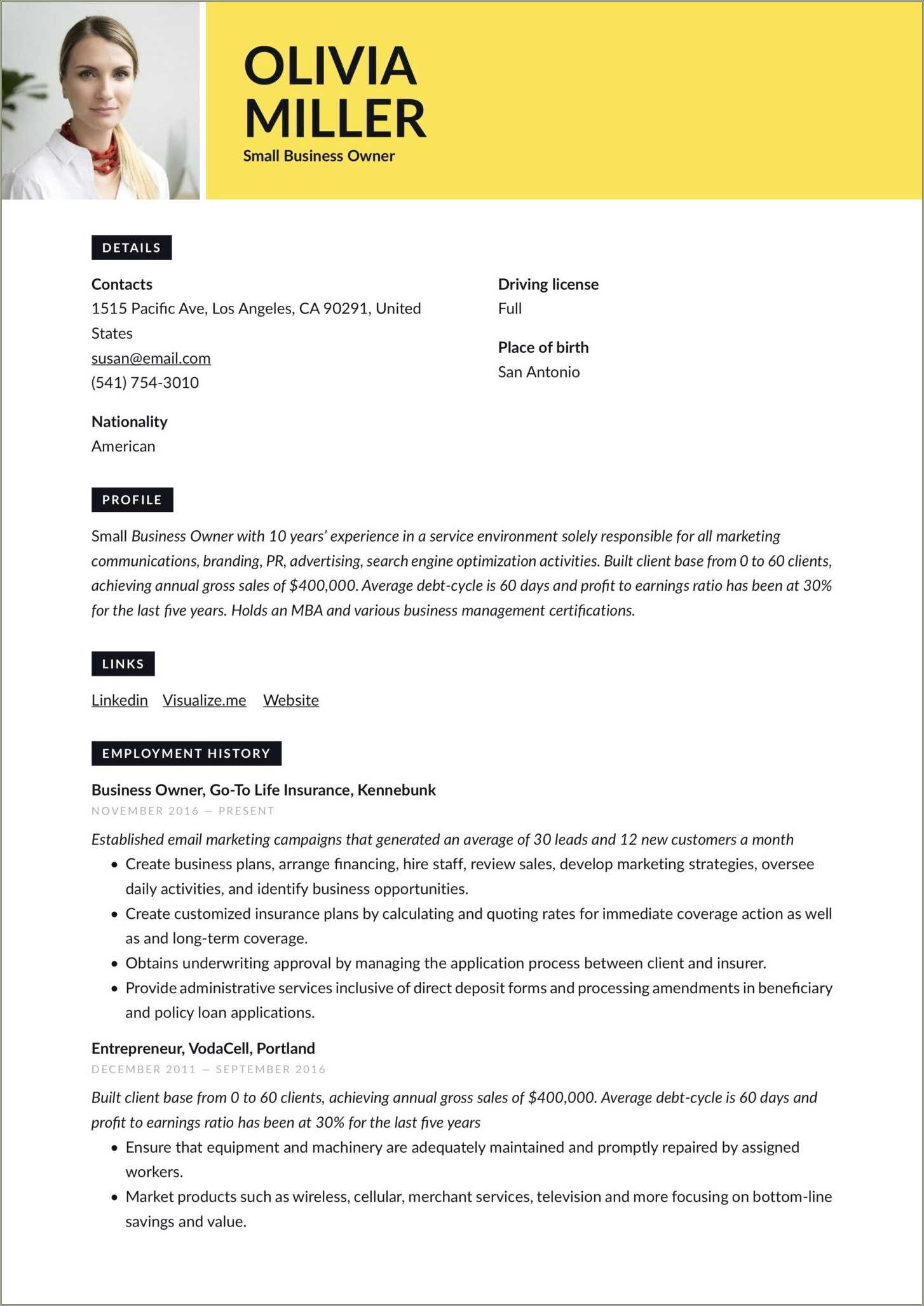 windows-business-owner-resume-sample-resume-example-gallery