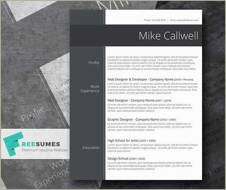 word-resume-template-2007-free-resume-example-gallery