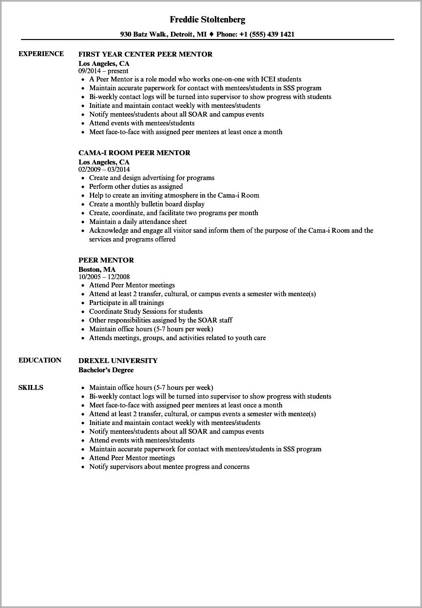 sample-resume-for-youth-mentor-resume-example-gallery