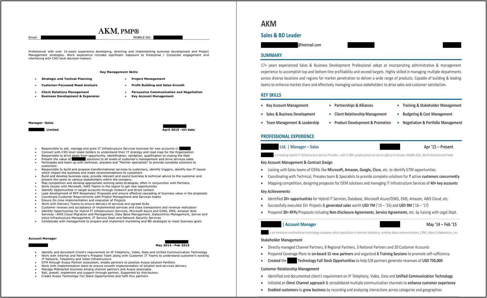 resume-format-for-sales-manager-in-india-resume-example-gallery